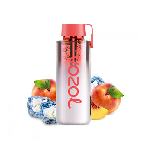 VOZOL NEON 10000 puffs