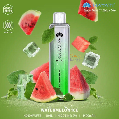 HAYATI PRO MAX 4000 Plus Puffs 20mg Disposable Vape