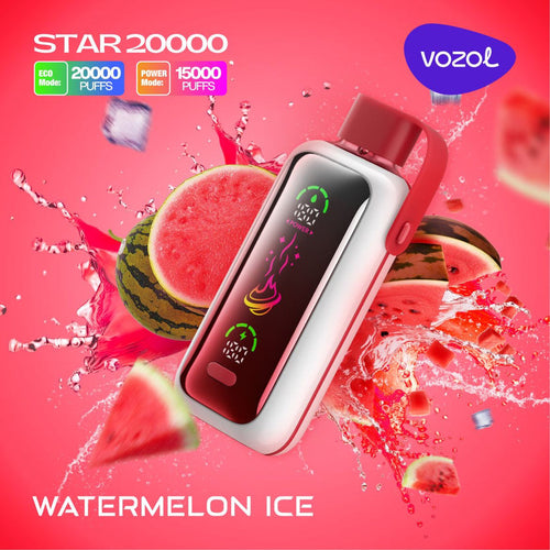 VOZOL STAR 20000 Puffs